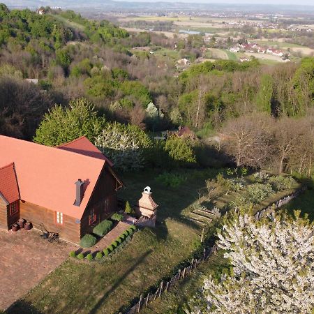 Villa Kuca Za Odmor Stara Hiza Selnica Exterior foto