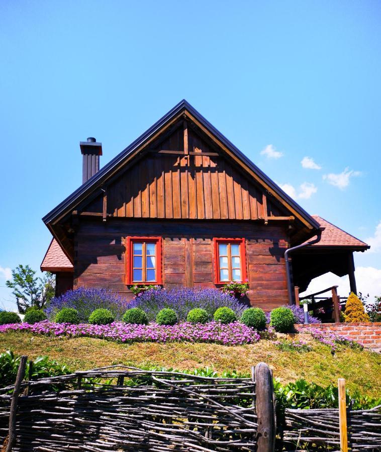 Villa Kuca Za Odmor Stara Hiza Selnica Exterior foto