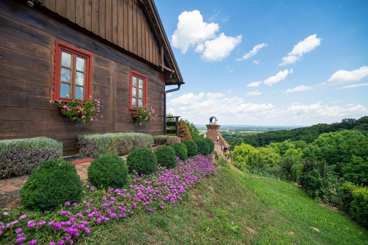Villa Kuca Za Odmor Stara Hiza Selnica Exterior foto